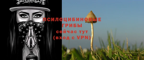 ALPHA-PVP Алексин