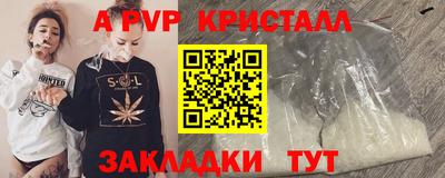 спиды Донской