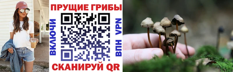 купить наркотики цена  Нефтекамск  Псилоцибиновые грибы Magic Shrooms 